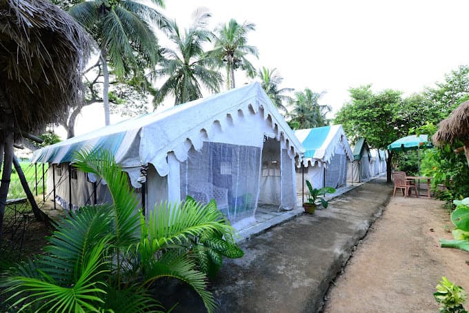 Bhitarkanika Jungle Resort