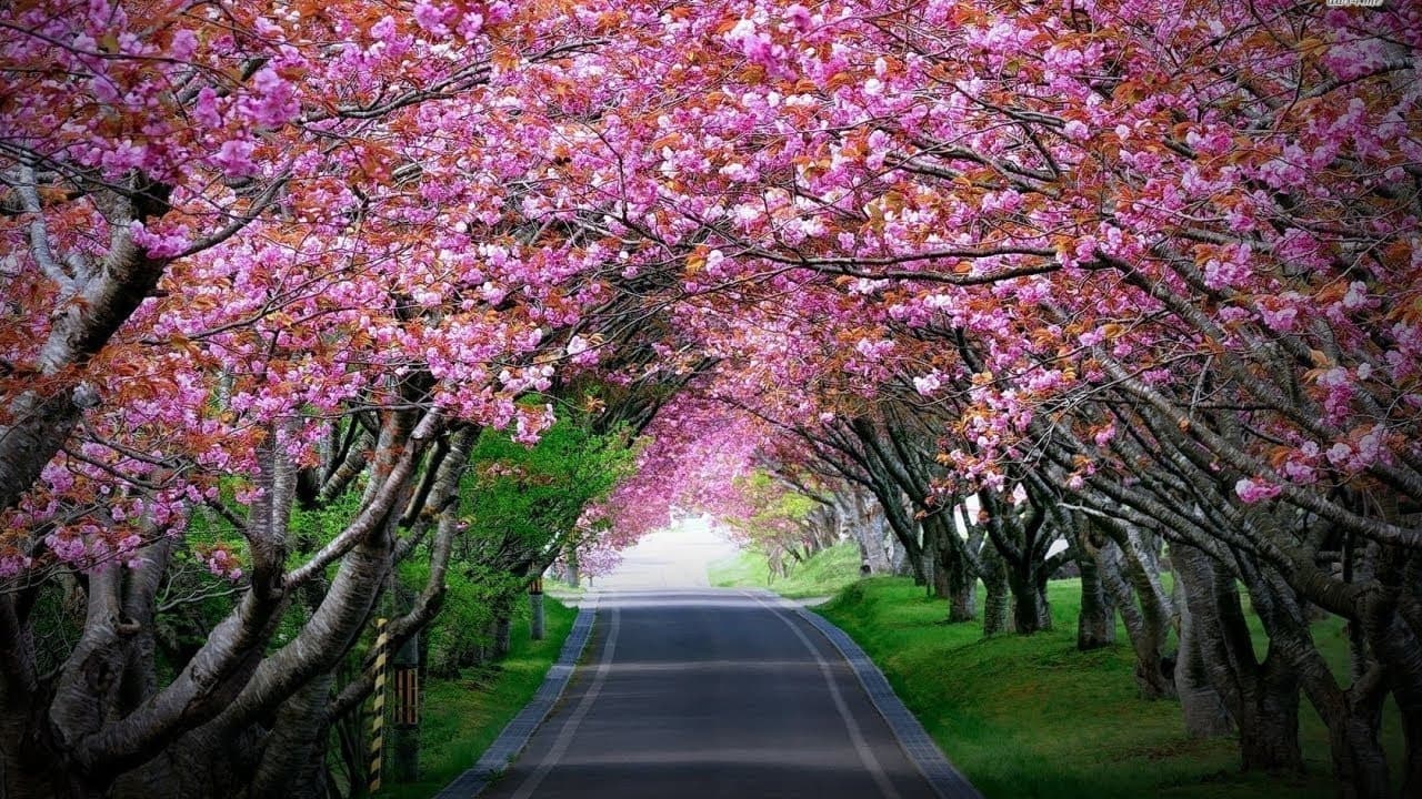 Shillong