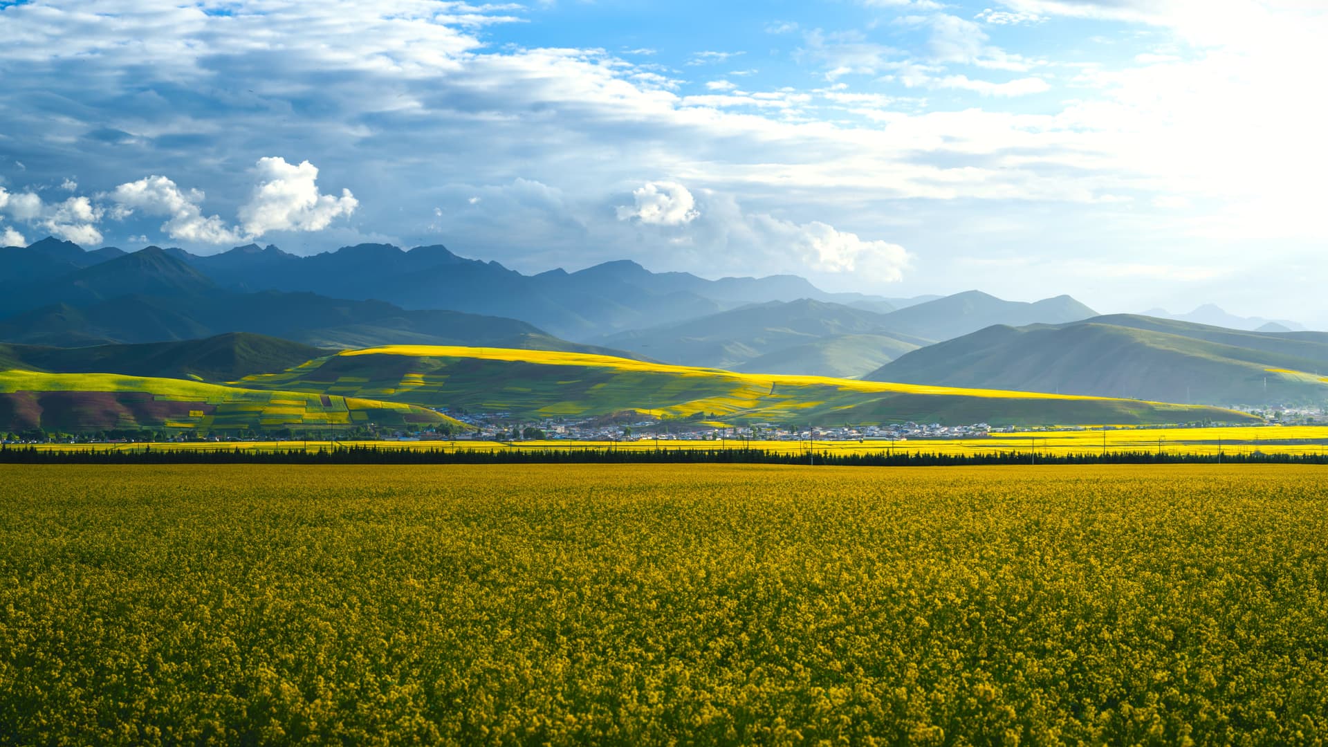 Qinghai