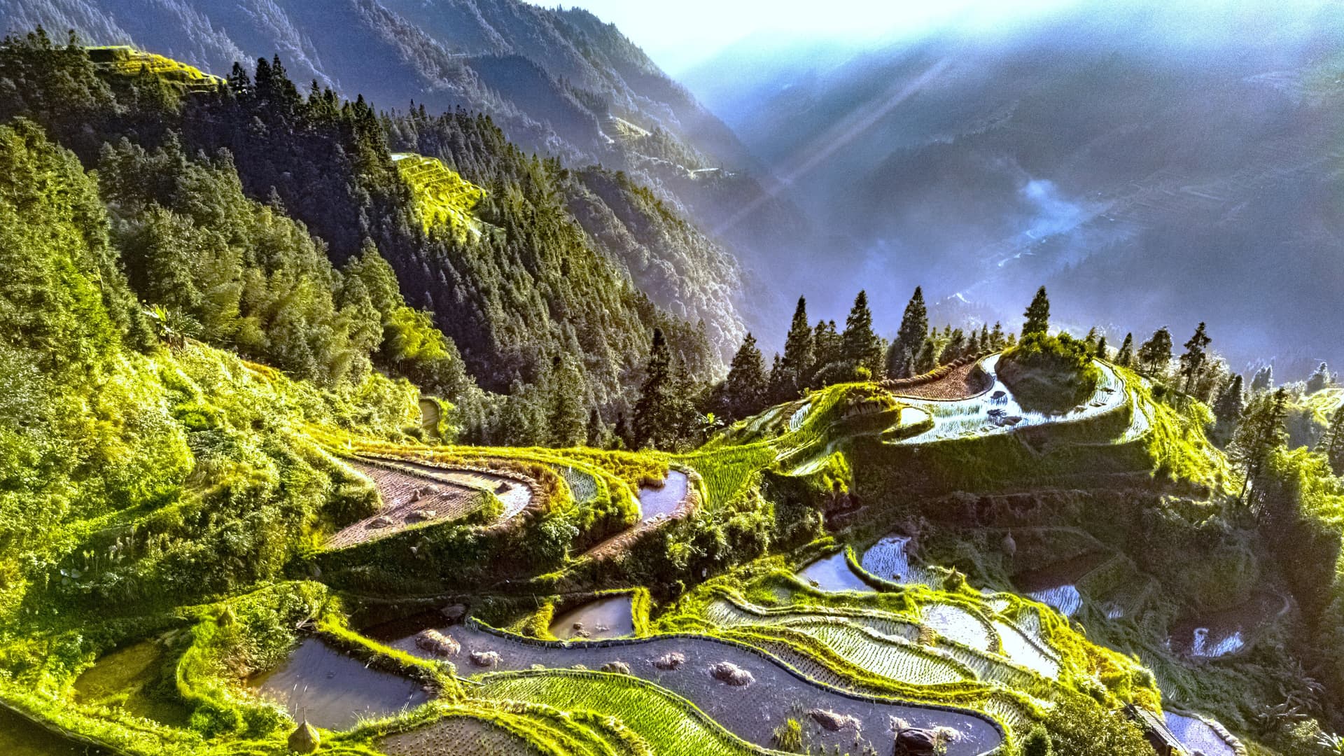 Guizhou