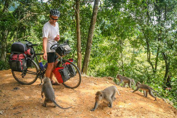 Cycliste qui nourrit des singes en Asie